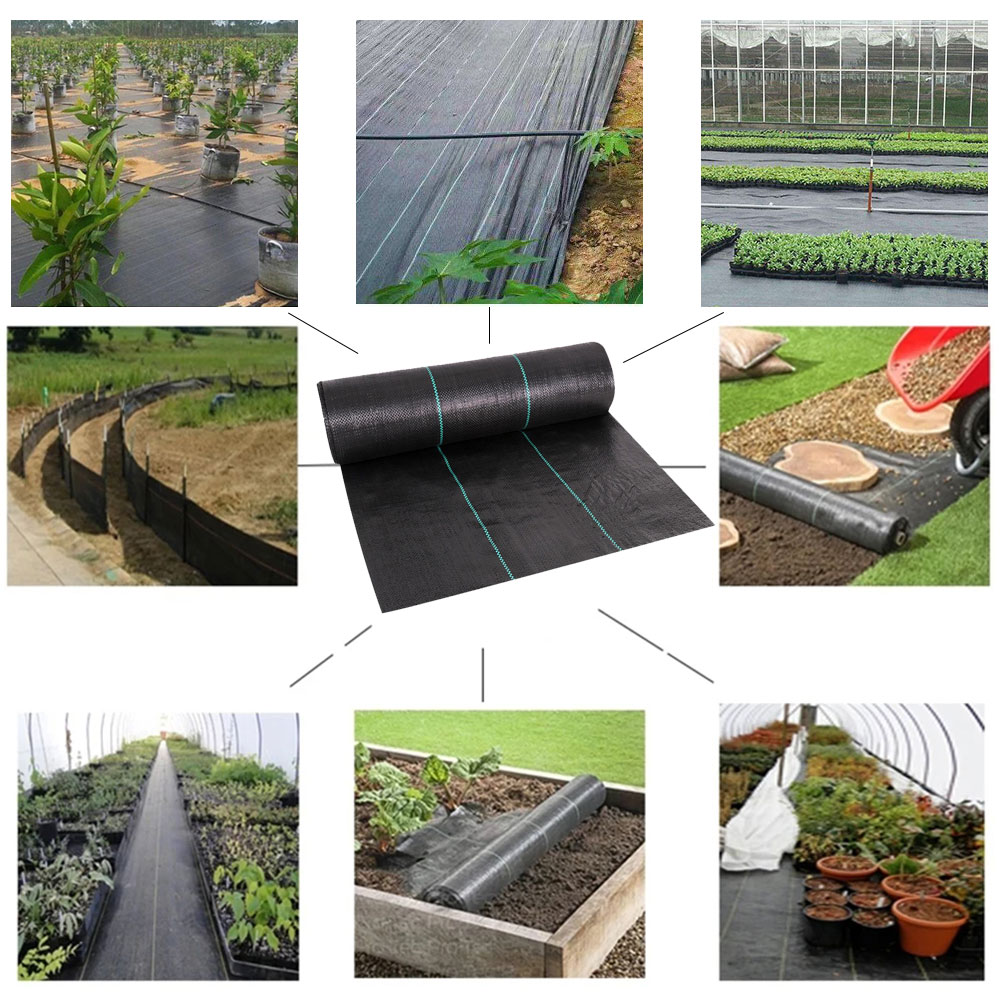 16,4 ft/32,8 ft pe gewebtes Un – Smart Garden Greenhouse Bewertung und Preis