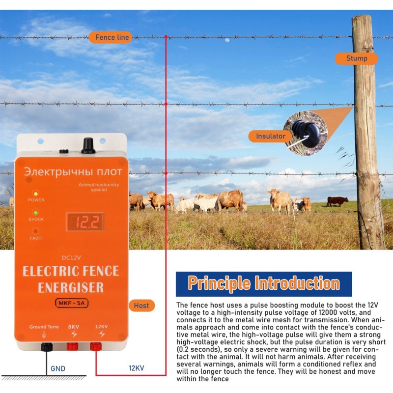 Intelligenter 12-V-Elektrozaun – Smart Garden Smart Fence Bewertung und Preis